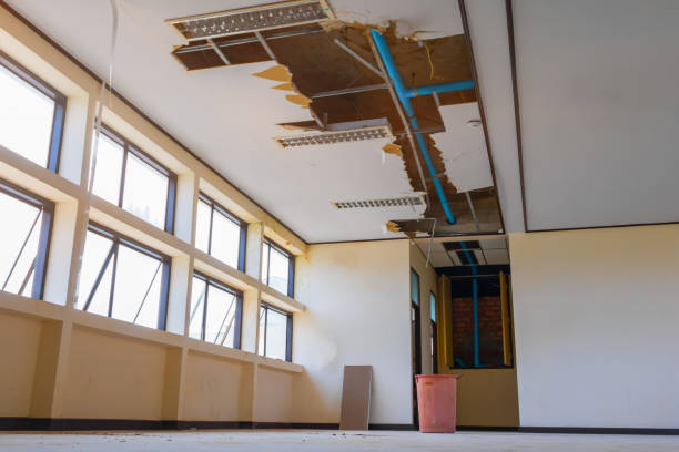 Best Local water damage restoration  in Hermiston, OR