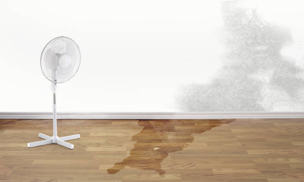 Best Water damage contractors near me  in Hermiston, OR