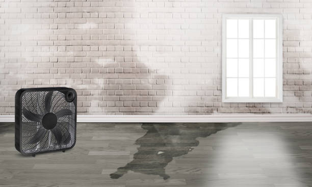 Best Water damage cleanup near me  in Hermiston, OR