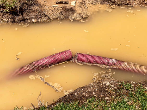 Best Flood restoration services  in Hermiston, OR