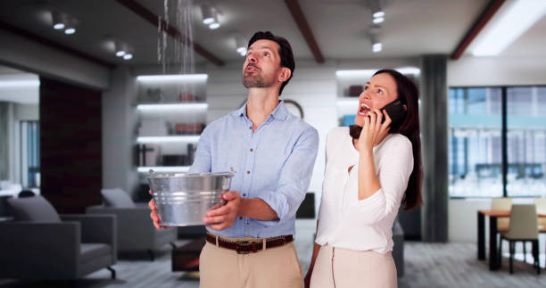 Best Professional water damage repair  in Hermiston, OR